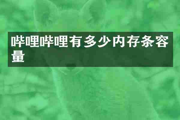 哔哩哔哩有多少内存条容量