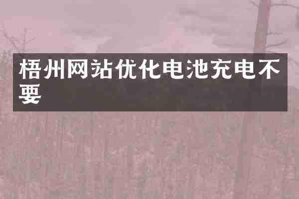 梧州网站优化电池充电不要