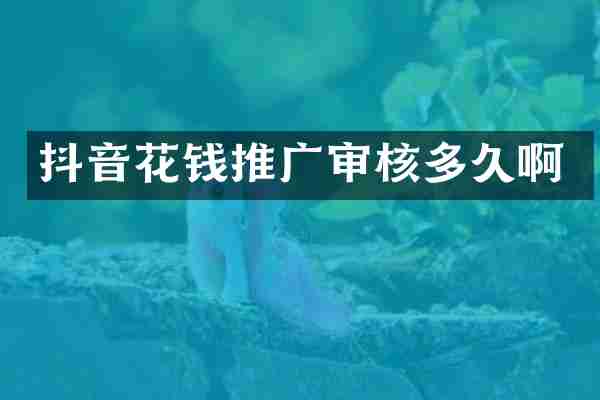 抖音花钱推广审核多久啊