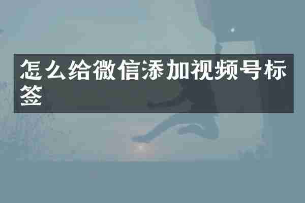 怎么给微信添加视频号标签