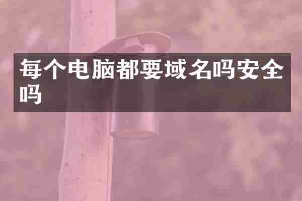 每个电脑都要域名吗安全吗