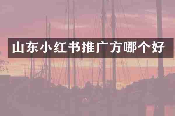 山东小红书推广方哪个好