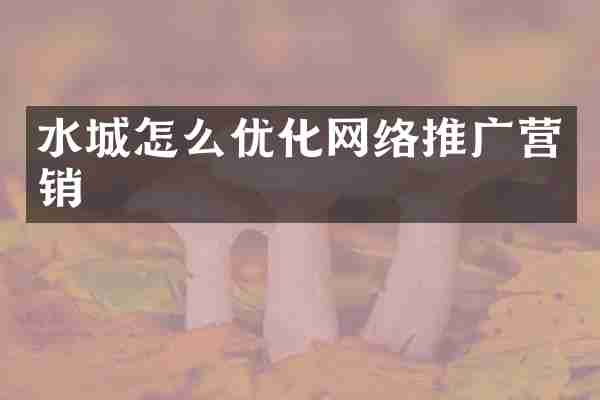 水城怎么优化网络推广营销