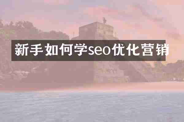 新手如何学seo优化营销