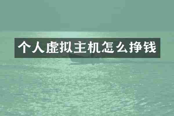 个人虚拟主机怎么挣钱