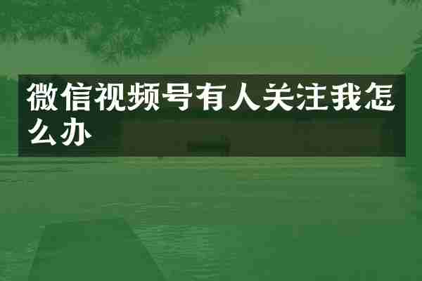 微信视频号有人关注我怎么办