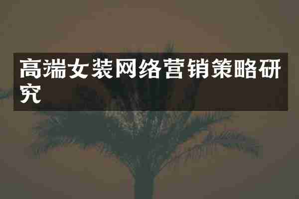 高端女装网络营销策略研究