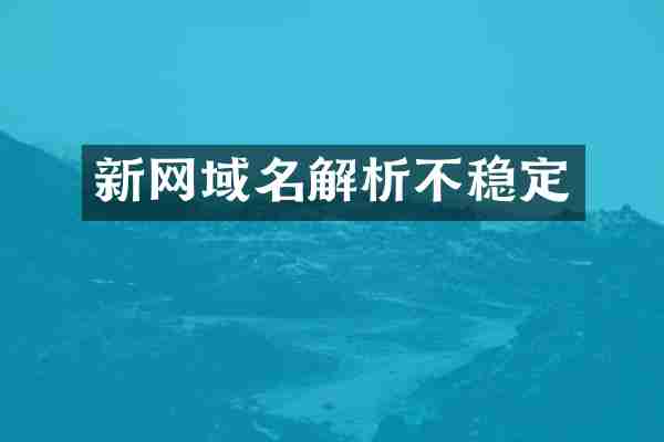新网域名解析不稳定