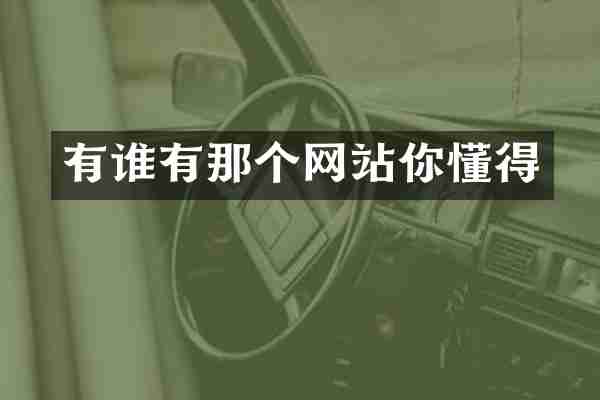 有谁有那个网站你懂得