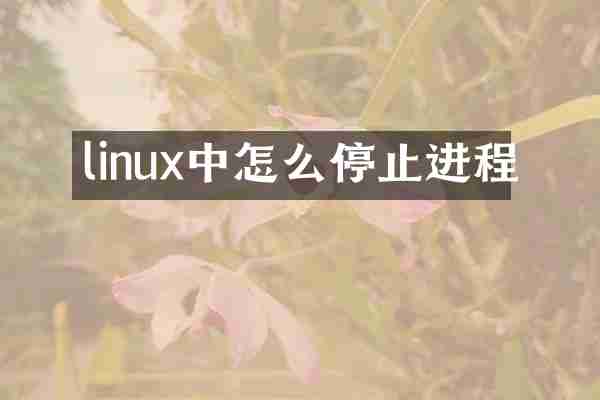 linux中怎么停止进程
