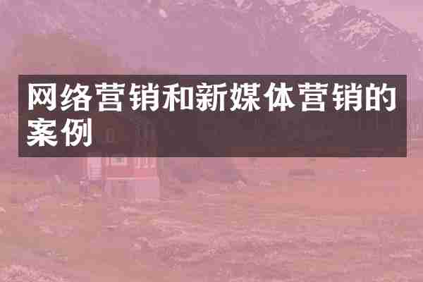 网络营销和新媒体营销的案例