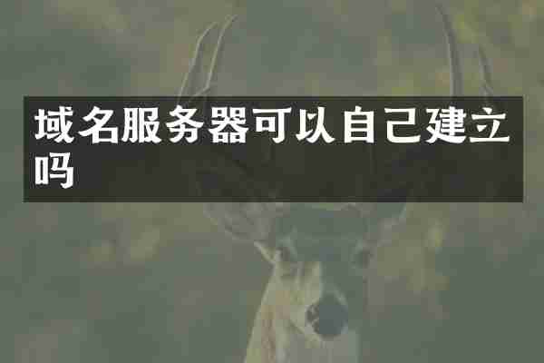 域名服务器可以自己建立吗