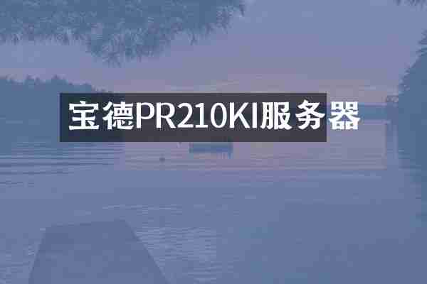 宝德PR210KI服务器