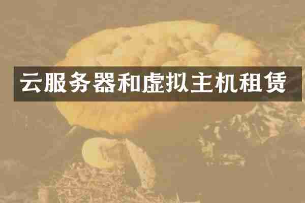 云服务器和虚拟主机租赁