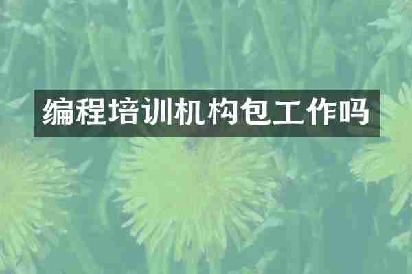 编程培训机构包工作吗