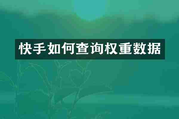 快手如何查询权重数据