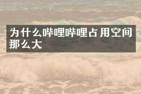 为什么哔哩哔哩占用空间那么大