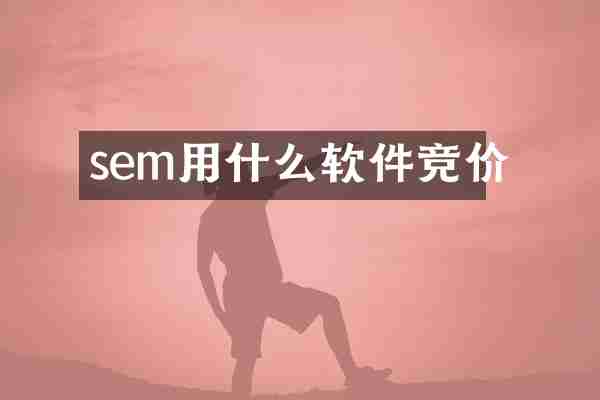 sem用什么软件竞价