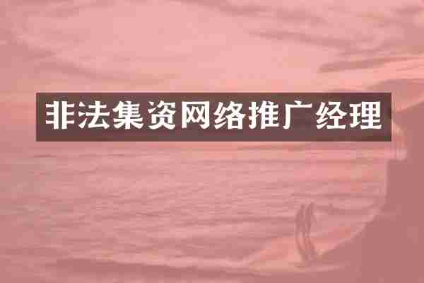 非法集资网络推广经理