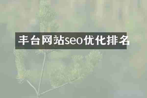 丰台网站seo优化排名