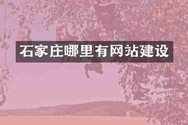 石家庄哪里有网站建设
