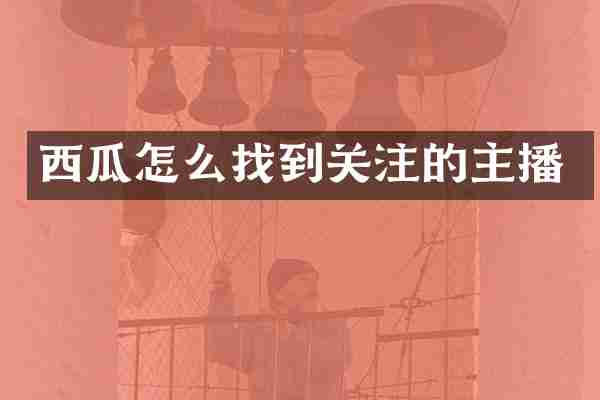 西瓜怎么找到关注的主播