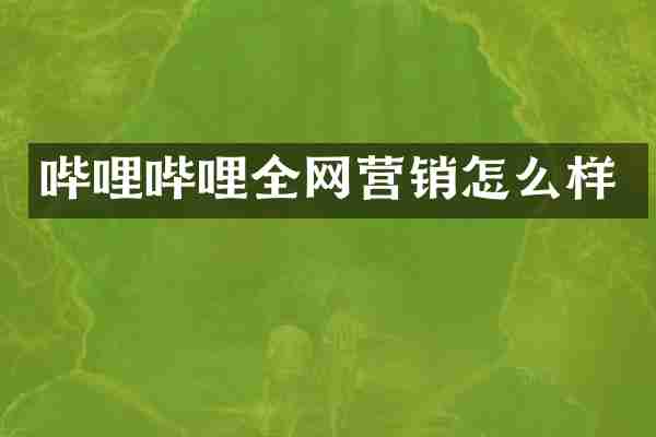 哔哩哔哩全网营销怎么样