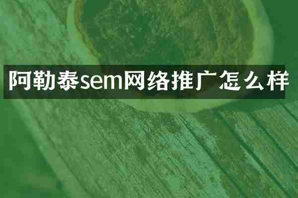 阿勒泰sem网络推广怎么样