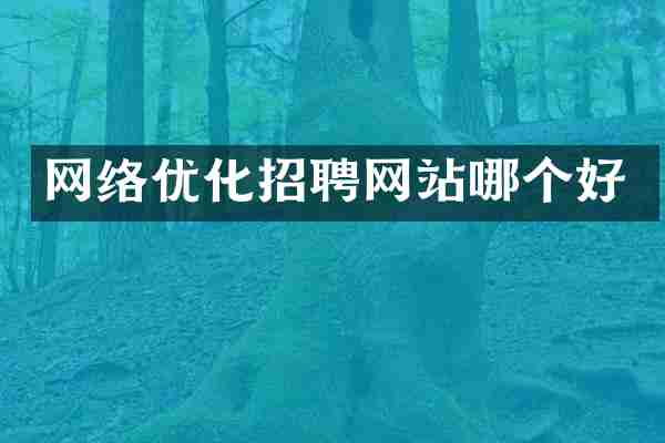 网络优化招聘网站哪个好