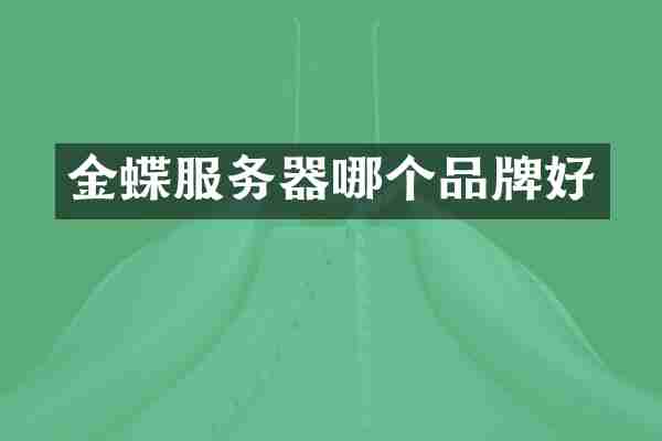 金蝶服务器哪个品牌好