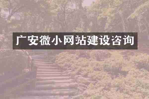 广安微小网站建设咨询