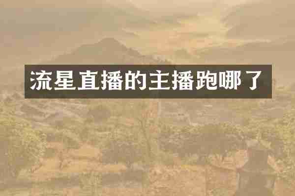 流星直播的主播跑哪了