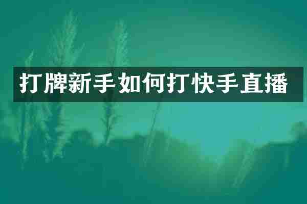 打牌新手如何打快手直播