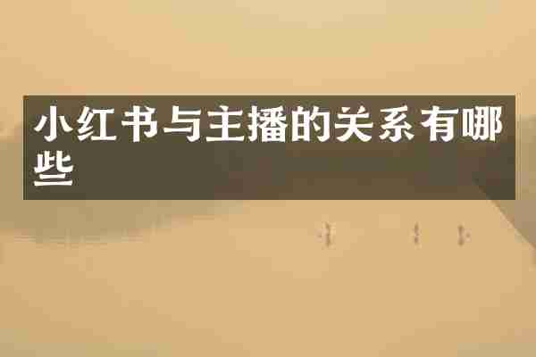 小红书与主播的关系有哪些