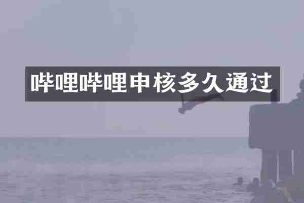 哔哩哔哩申核多久通过