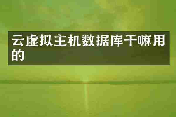 云虚拟主机数据库干嘛用的
