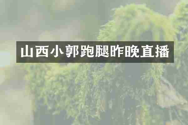 山西小郭跑腿昨晚直播