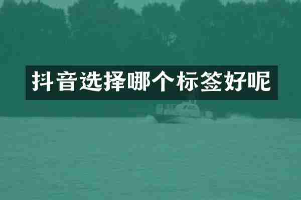 抖音选择哪个标签好呢