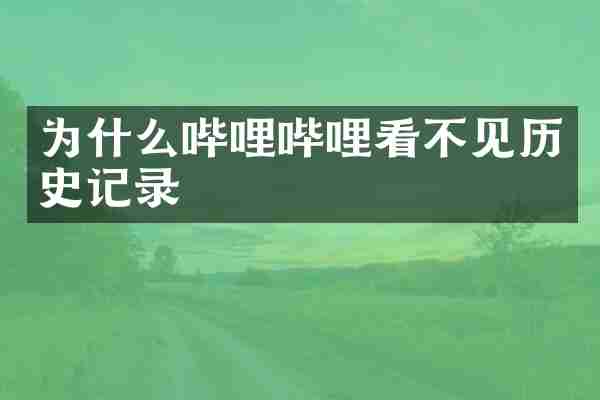 为什么哔哩哔哩看不见历史记录