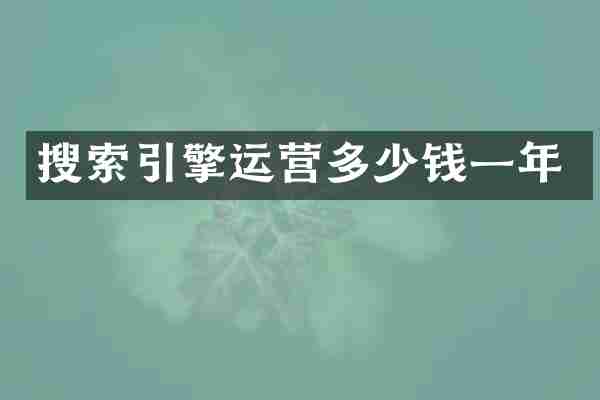 搜索引擎运营多少钱一年