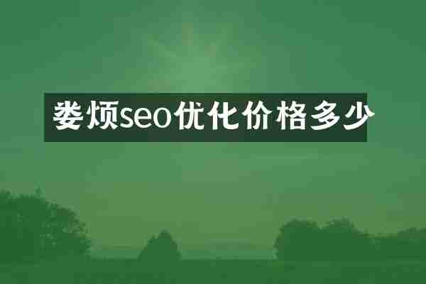 娄烦seo优化价格多少