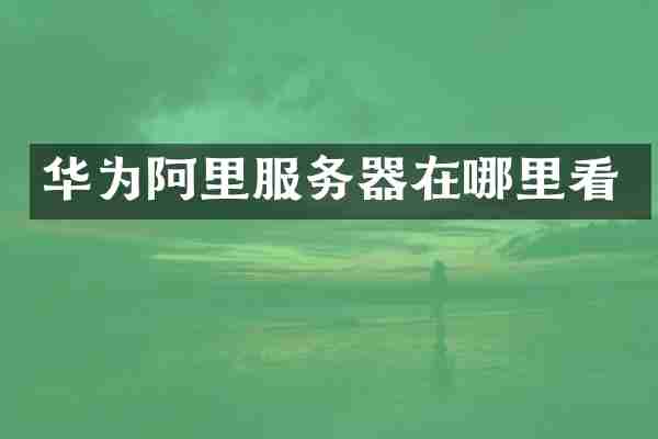 华为阿里服务器在哪里看