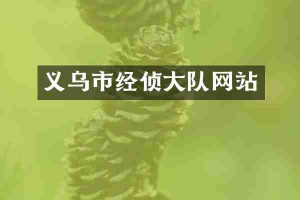 义乌市经侦大队网站