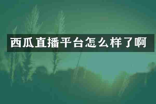 西瓜直播平台怎么样了啊