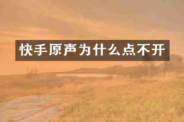 快手原声为什么点不开