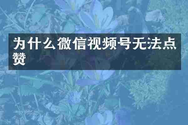 为什么微信视频号无法点赞