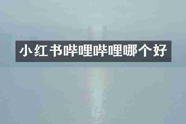 小红书哔哩哔哩哪个好