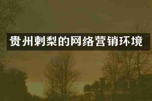 贵州刺梨的网络营销环境