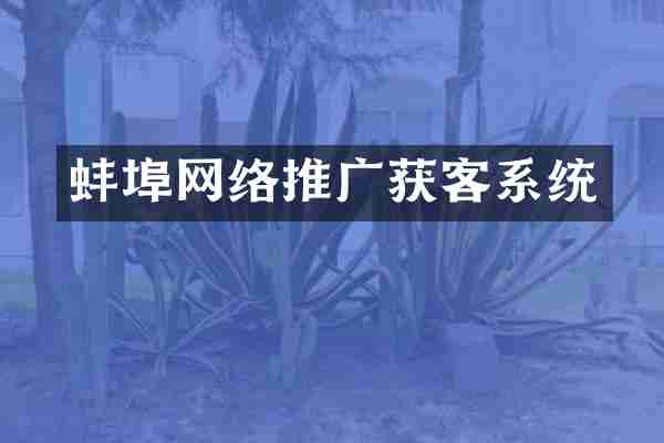 蚌埠网络推广获客系统