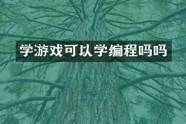 学游戏可以学编程吗吗